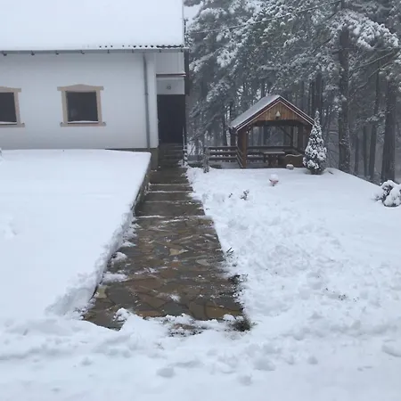 Zeleni Mir Guest house *