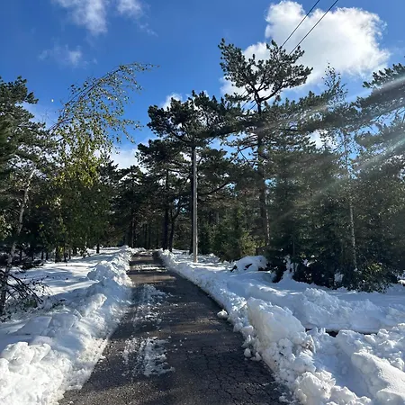 Guest house Zeleni Mir